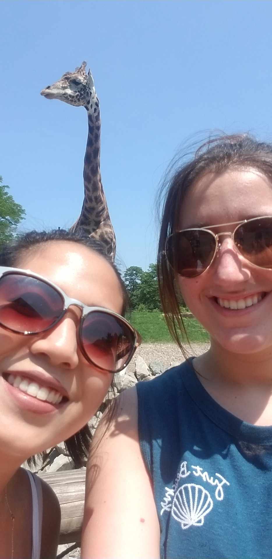 A cherished memory of Katie